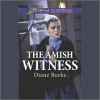 The_Amish_Witness